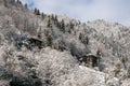 Winter in Rize